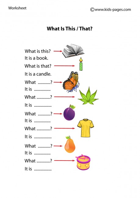 Demonstrative Pronouns: What is this / that?